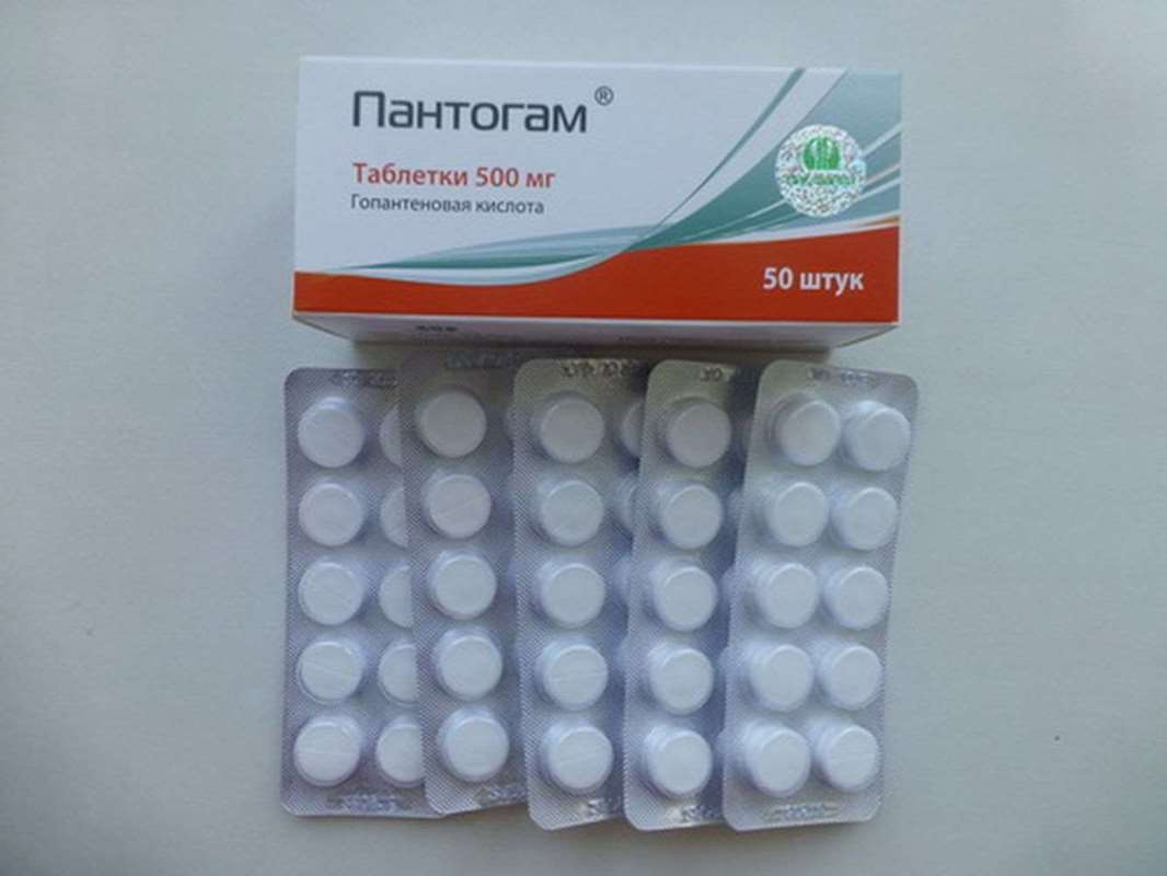 Pantogam 500mg 50 pills buy nootropic agent online